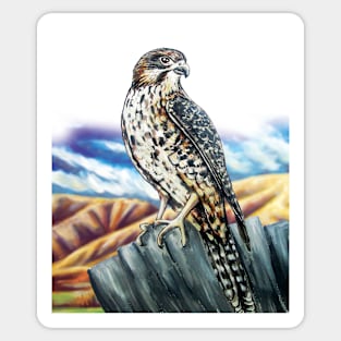 Native NZ Falcon Sticker